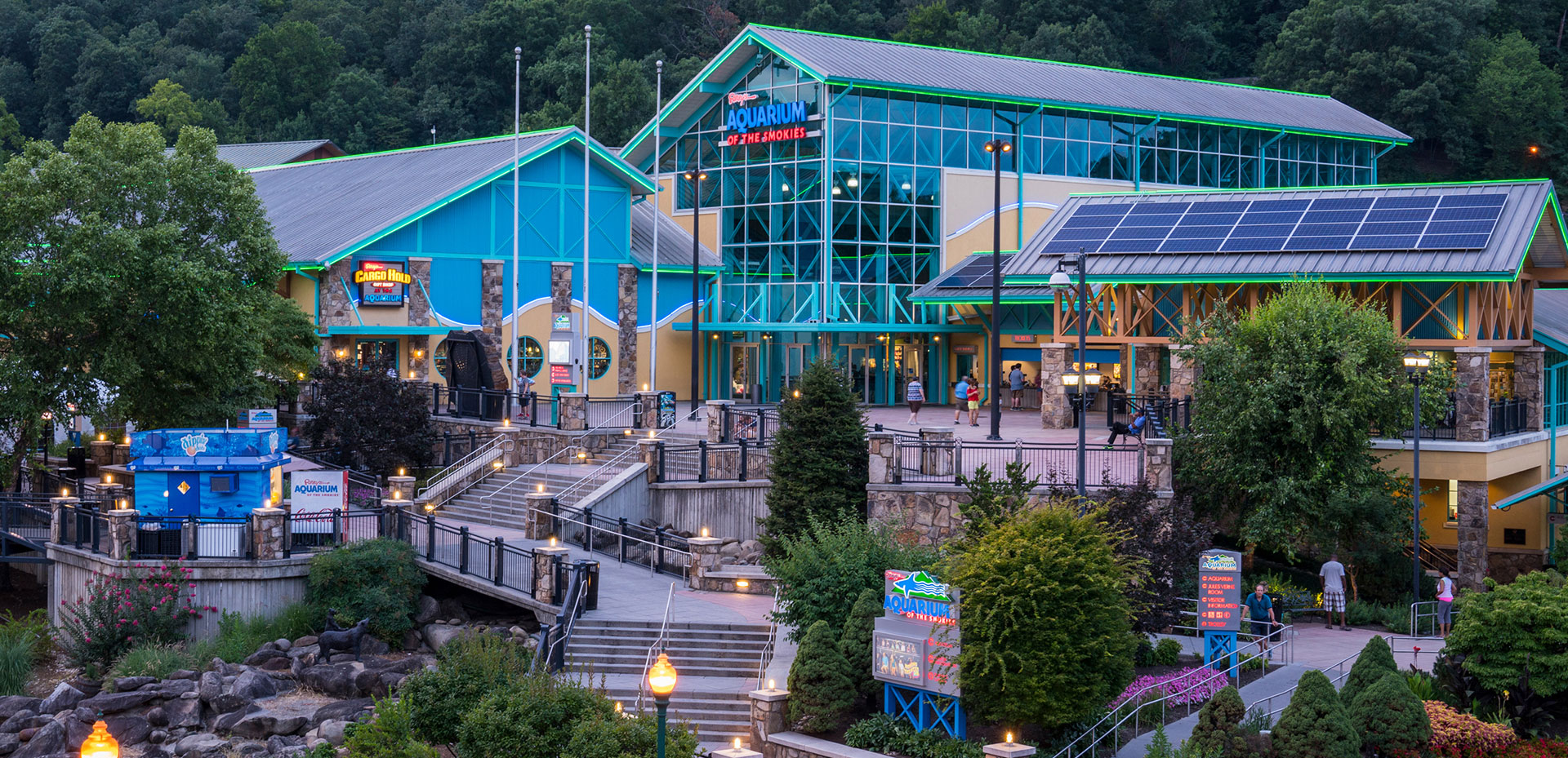 Ripley's Aquarium of the Smokies | Gatlinburg Attractions | Things To Do In Gatlinburg, TN